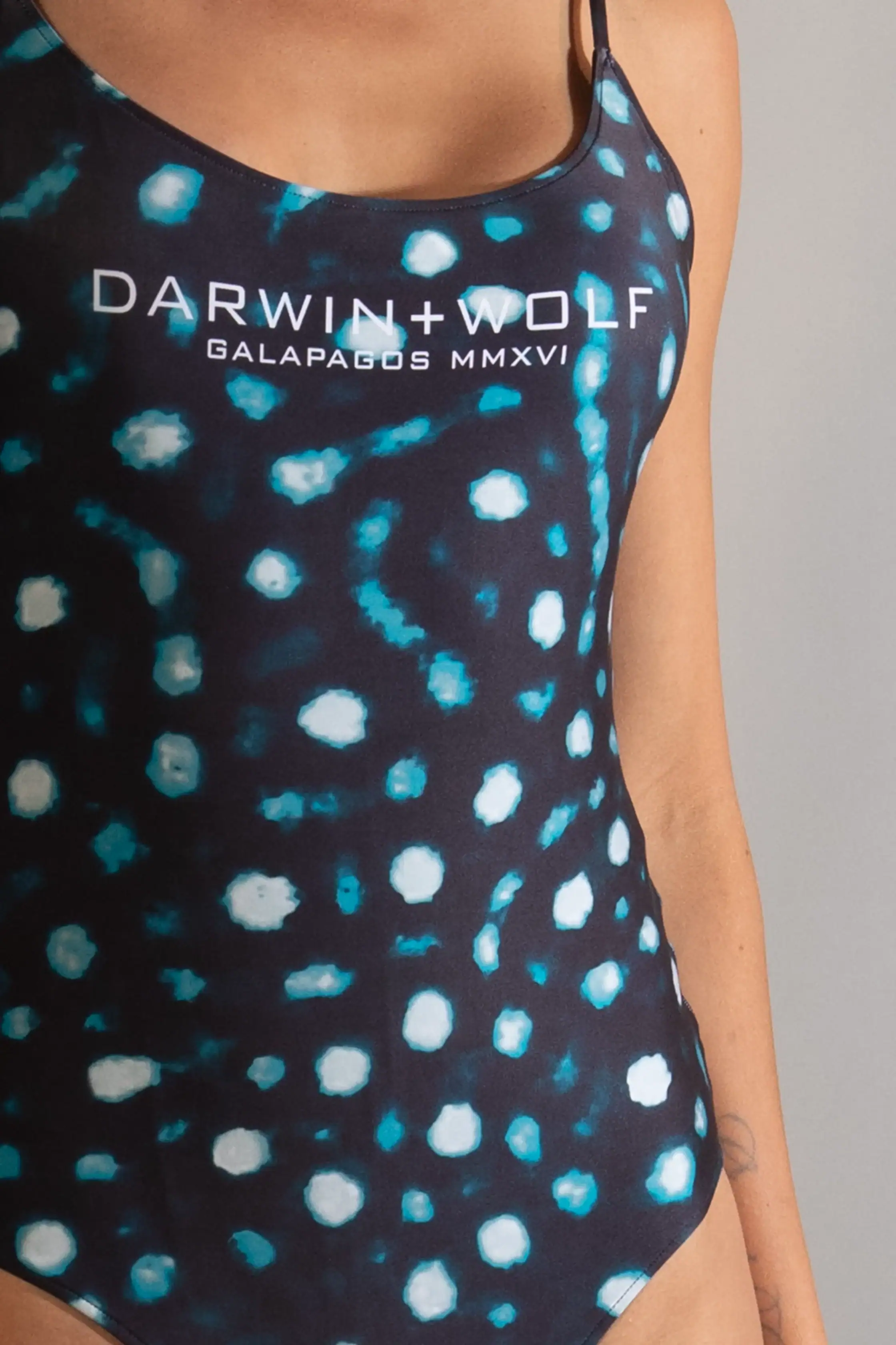 DARWIN + WOLF GALAPAGOS OCT 2025-143644