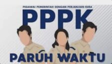 AP3KI menilai pemerintah perlu mempertimbangkan aspek masa pengabdian, profesionalitas, serta rasa keadilan bagi seluruh PPPK tanpa membedakan latar belakang profesi.