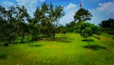 Sebuah area glamping yang berada di kawasan kebun durian dan alpukat di Ciater, Kabupaten Subang. Lahan tersebut memiliki luas sekitar 1,5 hektare. Poto. Dok. KPK