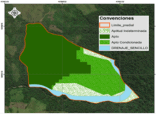 Análisis productivo