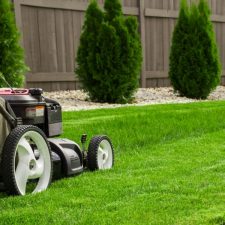 Pielęgnacja ogrodów Gdańsk