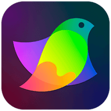 Amadine 1.6.7