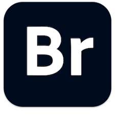 Adobe Bridge 2026 v16.0