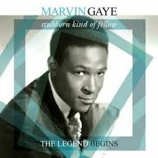 Marvin Gaye - Stubborn Kind Of..   NOVA
