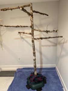 How to Clean Branches for Bird Perches