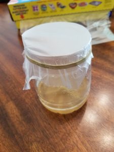 How to Feed a Bird Fruit Flies