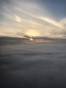 Mit SAS von Oslo nach Düsseldorf SAS von Oslo nach Düsseldorf