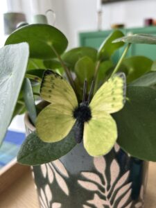 Citronfjäril