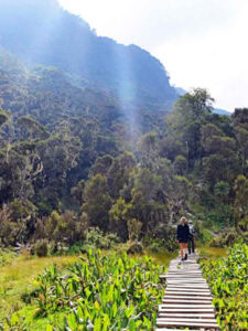 Hiking and Mountain Climbing Adventures