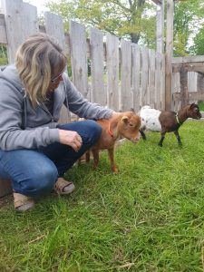 Hochwertiges biomethanischer Stall, umgeben von Natur bei Wellnesshof RaJa, nachhaltiger Tierhof mit kleineren Tierarten, die Kinder und Besucher in der naturnahen Haltung erleben können.