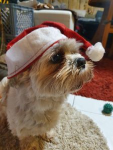 Entschuldigung, kein Bild-URL vorhanden. Bitte stellen Sie das Bild zur Verfügung, damit ich die SEO-Textwerte erstellen kann.