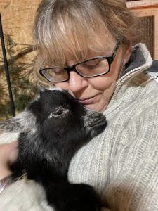 Streicheleinheit mit kleinem schwarzen und weißen Ziegenbaby, entspannte Atmosphäre im Wellnesshof RaJa, Tierliebe, Naturerlebnis.