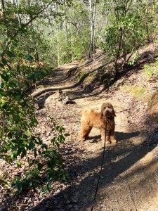 Hiking to Lake Placid with Popeye