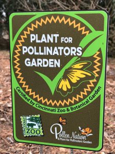 Read more about the article Wimberg Landscaping Partners with the Cincinnati Zoo!