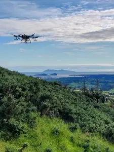 Spot spraying drone