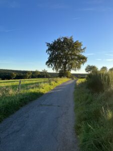 Wanderweg in Monschau-Höfen
