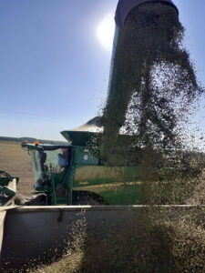 Harvesting soy. Farm management software helps FNG decide whether to sell the the soy immediately after harvest, or to store in their silos for a while in order to increase their profit. - Photo: Ricardo Alexandre Borges