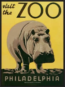 Visit the Zoo - Canvas Gallery Black
