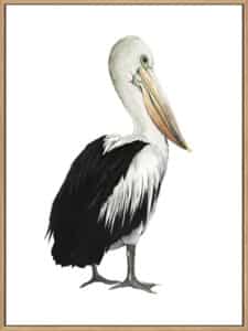 Sea Bird IV - Canvas Gallery Natural