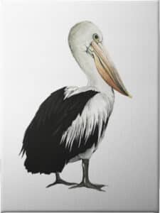 Sea Bird IV - Unframed Canvas Unframed Canvas