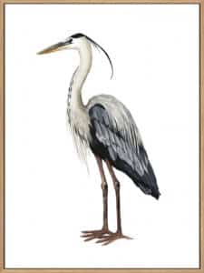 Sea Bird I - Canvas Gallery Natural
