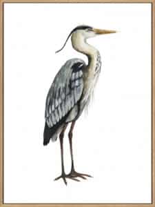 Sea Bird V - Canvas Gallery Natural
