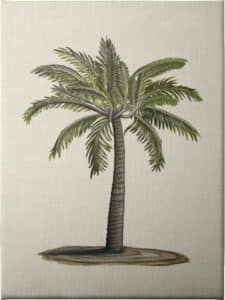 British Palms I - Unframed Canvas Unframed Canvas