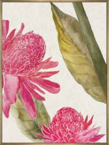 Red Ginger II - Canvas Gallery Champagne