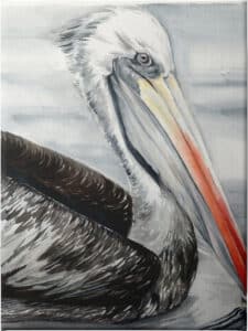 Grey Pelican I - Unframed Canvas Unframed Canvas