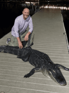 alligator hunting