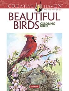 Adult Coloring Pages Birds
