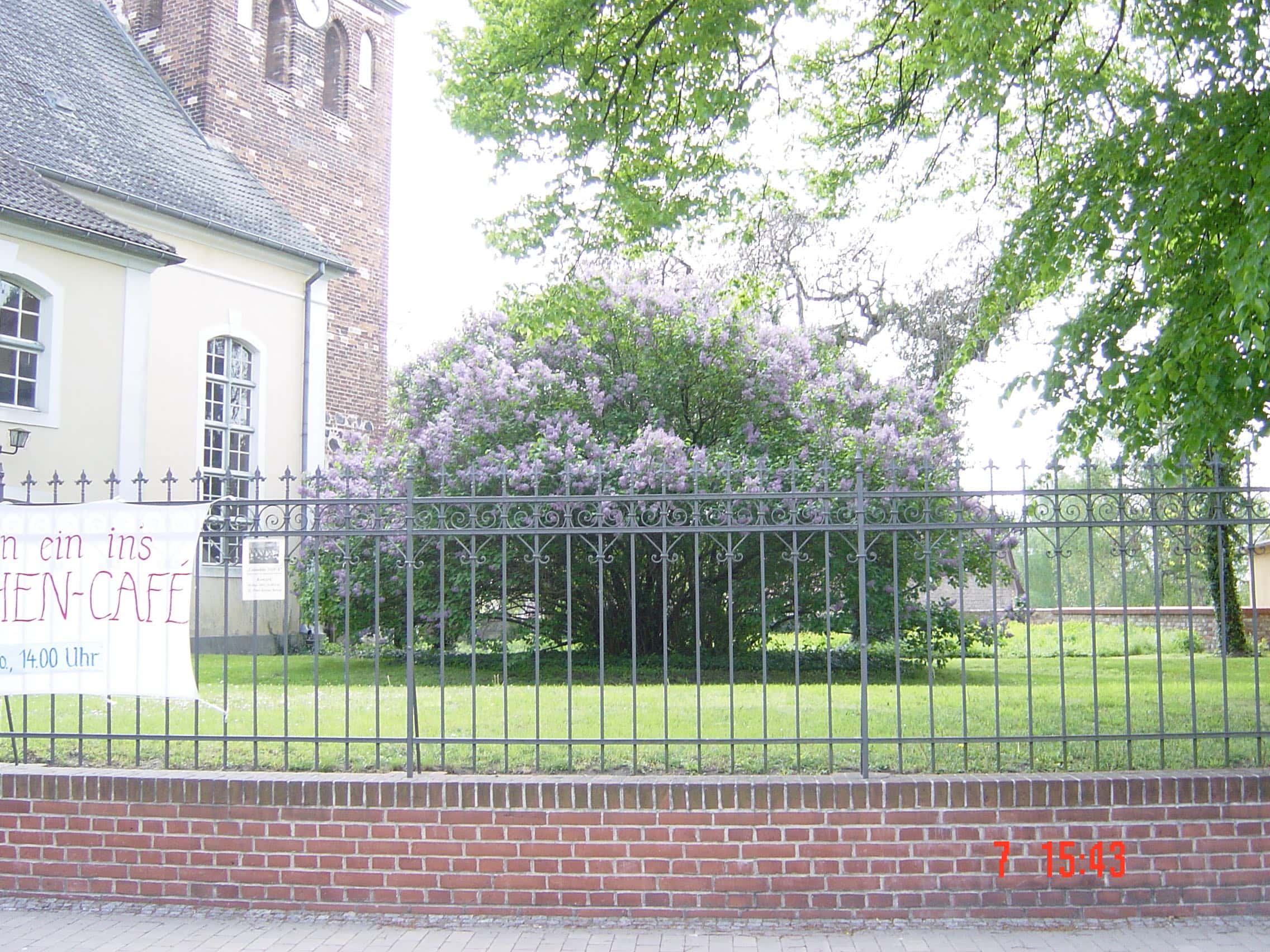 Dunkelgrauer Metallzaun mit dekorativen Spitzen und Ornamenten, begrenzt einen grünen Rasen mit blühendem Fliederbusch und einer historischen Kirche im Hintergrund. Ein Qualitätsprodukt von Zaunbau von Stahl- und Metallbau Drost.