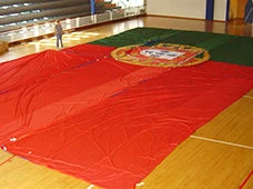 Bandeira de portugal