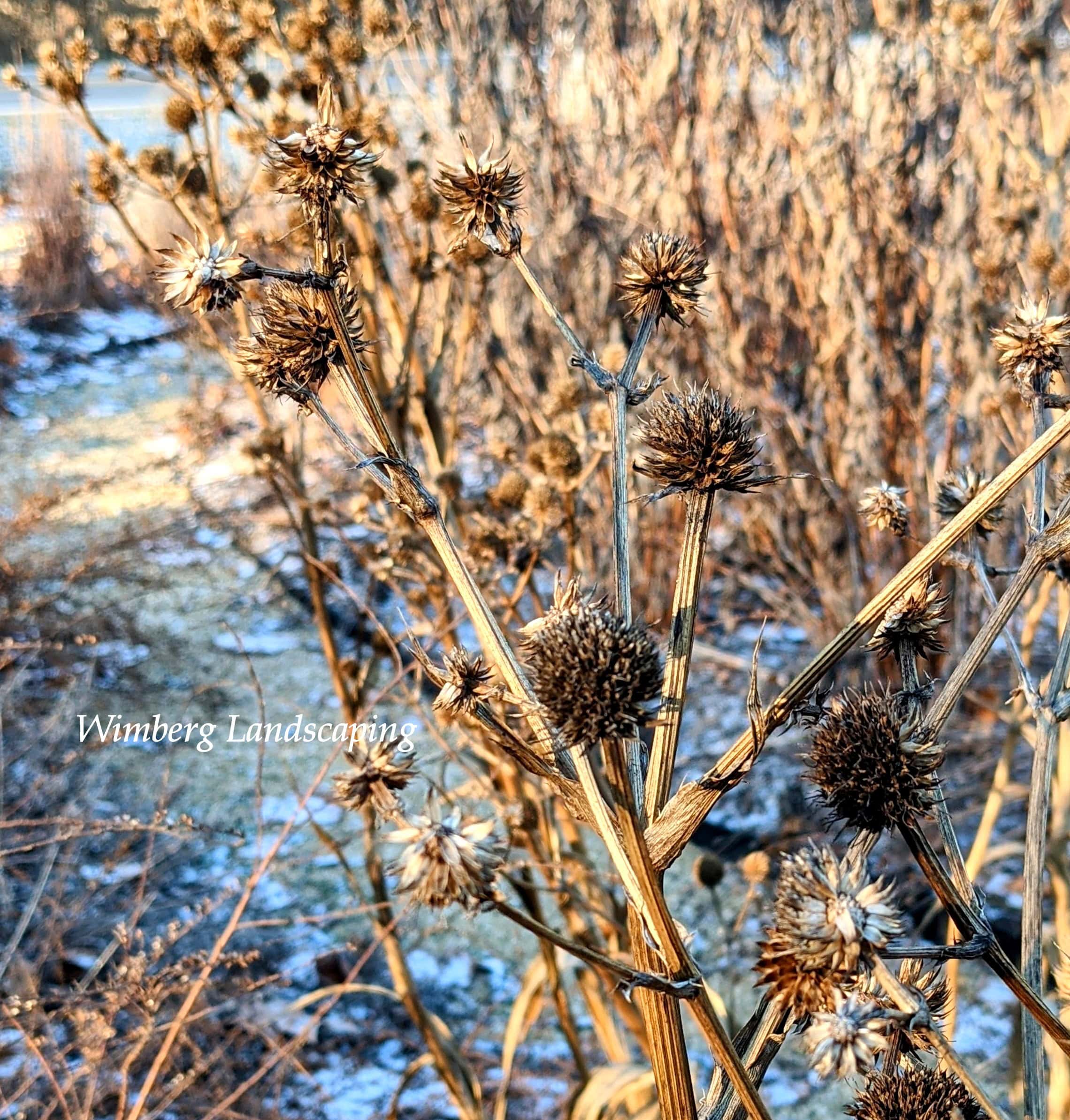 Read more about the article What to do on These Winter Days