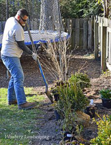Read more about the article November Tree & Shrub Care