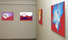 Myriam Thyes - Mutable Worlds. Commercio Gallery, Zurich, 2005