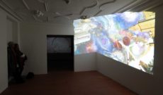 Myriam Thyes, After Tiepolo (2013), in der Gruppenausstellung 'Raumwelten', Museum Bärengasse, Zürich, Schweiz 2013. Werk im Hintergrund: Hektor Mamet (Video).