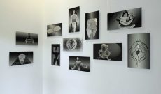 Von hier bis jetzt. 20 Jahre Künstler im Salzmannbau. Kunstraum Düsseldorf, 2014. Hier von M. Thyes: Global Vulva Plates