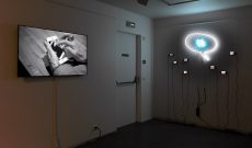 Links im Bild: 'Smart Pantheon' in der Gruppenausstellung 'VARIATION - ArtJaws media art exhibition and fair', Cité Internationale des Arts, Paris, Frankreich 2017.