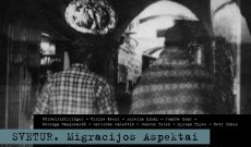 IN THE FOREIGN. Aspects of Migration. Kaunas Picture Gallery 14.12.2023 - 18.2.2024. Photo credit: Gerlinde Salentin, 2008.