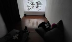 Global Vulva @ Un_erhört. Wie sich die Vulva heute Gehör verschafft!, Rudolf-Scharpf-Galerie, Ludwigshafen, 2024