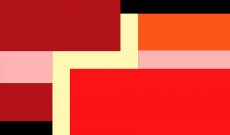EU 2020 ?, Myriam Thyes, 2005, video