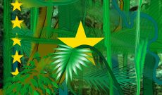 Migration Flags, 2005-2007, Congo Rainforest / Camouflage