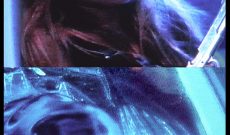 Sarah (1995/2002), 25 c-prints on alu dibond, 45 x 30 cm each, 9 meters in all.