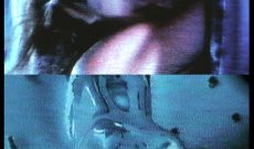 Sarah (1995/2002), 25 c-prints on alu dibond, 45 x 30 cm each, 9 meters in all.