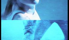 Sarah (1995/2002), 25 c-prints on alu dibond, 45 x 30 cm each, 9 meters in all.