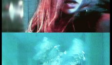 Sarah (1995/2002), 25 c-prints on alu dibond, 45 x 30 cm each, 9 meters in all.