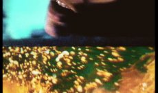 Sarah (1995/2002), 25 c-prints on alu dibond, 45 x 30 cm each, 9 meters in all.