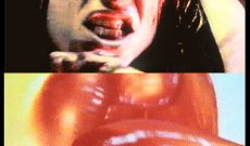 Sarah (1995/2002), 25 c-prints on alu dibond, 45 x 30 cm each, 9 meters in all.
