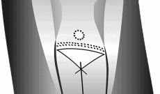 Global Vulva Flags (2014), Egyptian Goddess Hathor.
